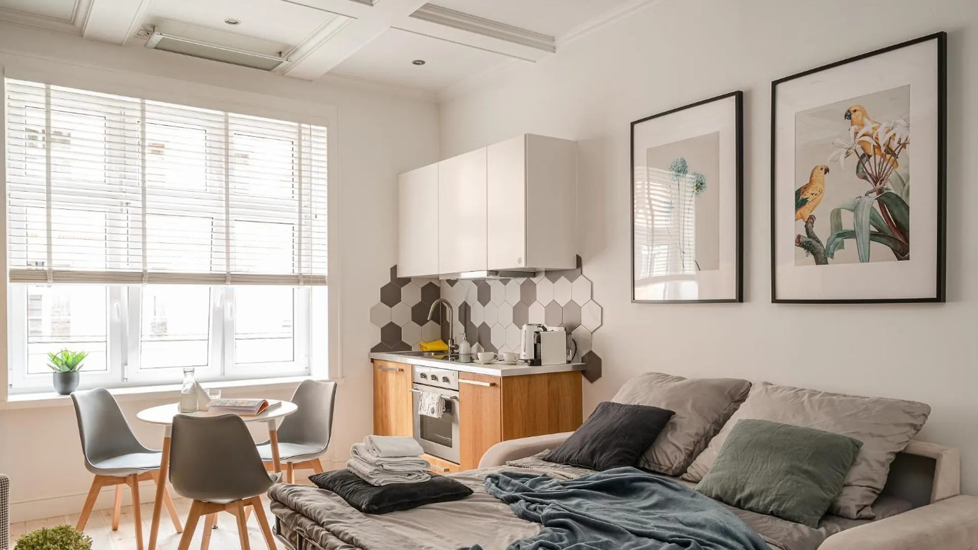 Comfort & Modern Apartment By Market Square With Ac As Home S5A 弗罗茨瓦夫 波兰