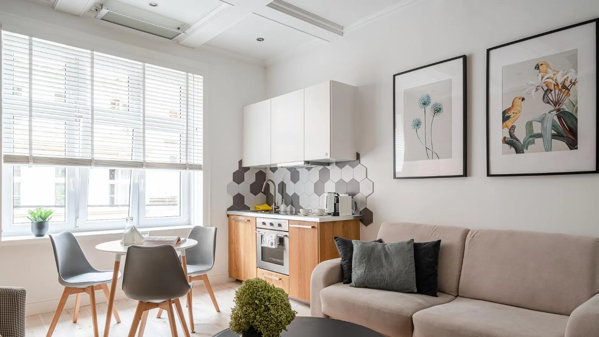Comfort & Modern Apartment By Market Square With Ac As Home S5A 弗罗茨瓦夫 0*,  波兰